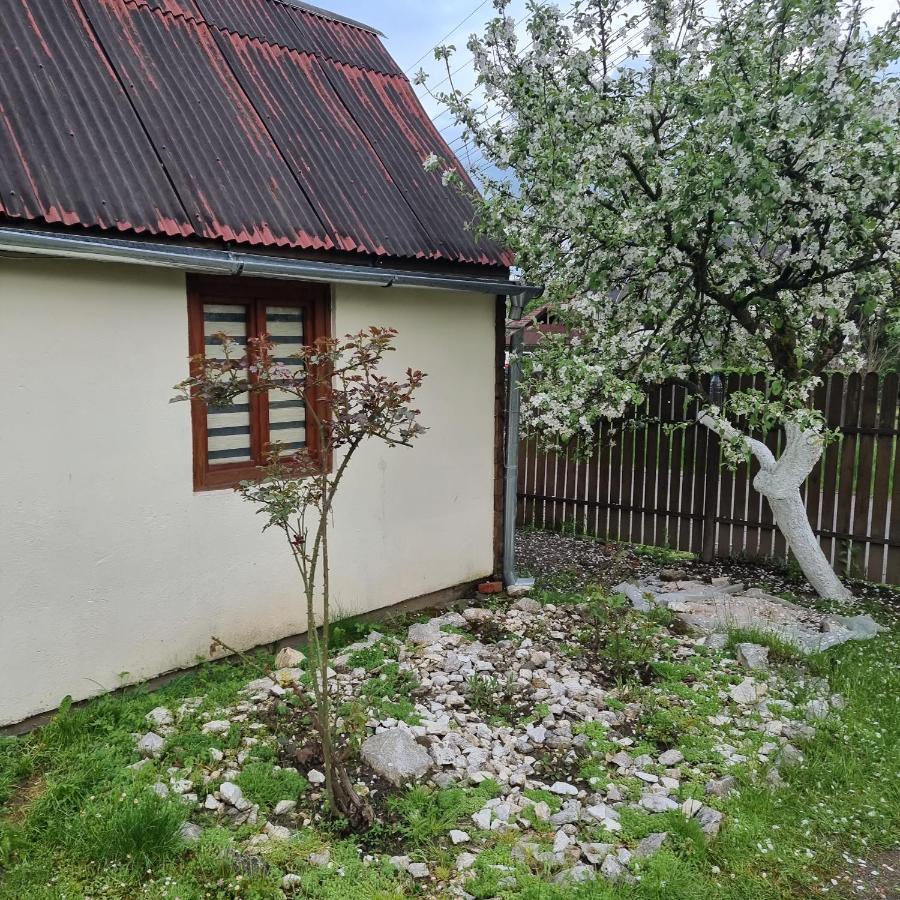 Vila Paula & Spa Sovata Extérieur photo